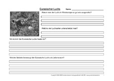Luchs-Fragen-1.pdf
